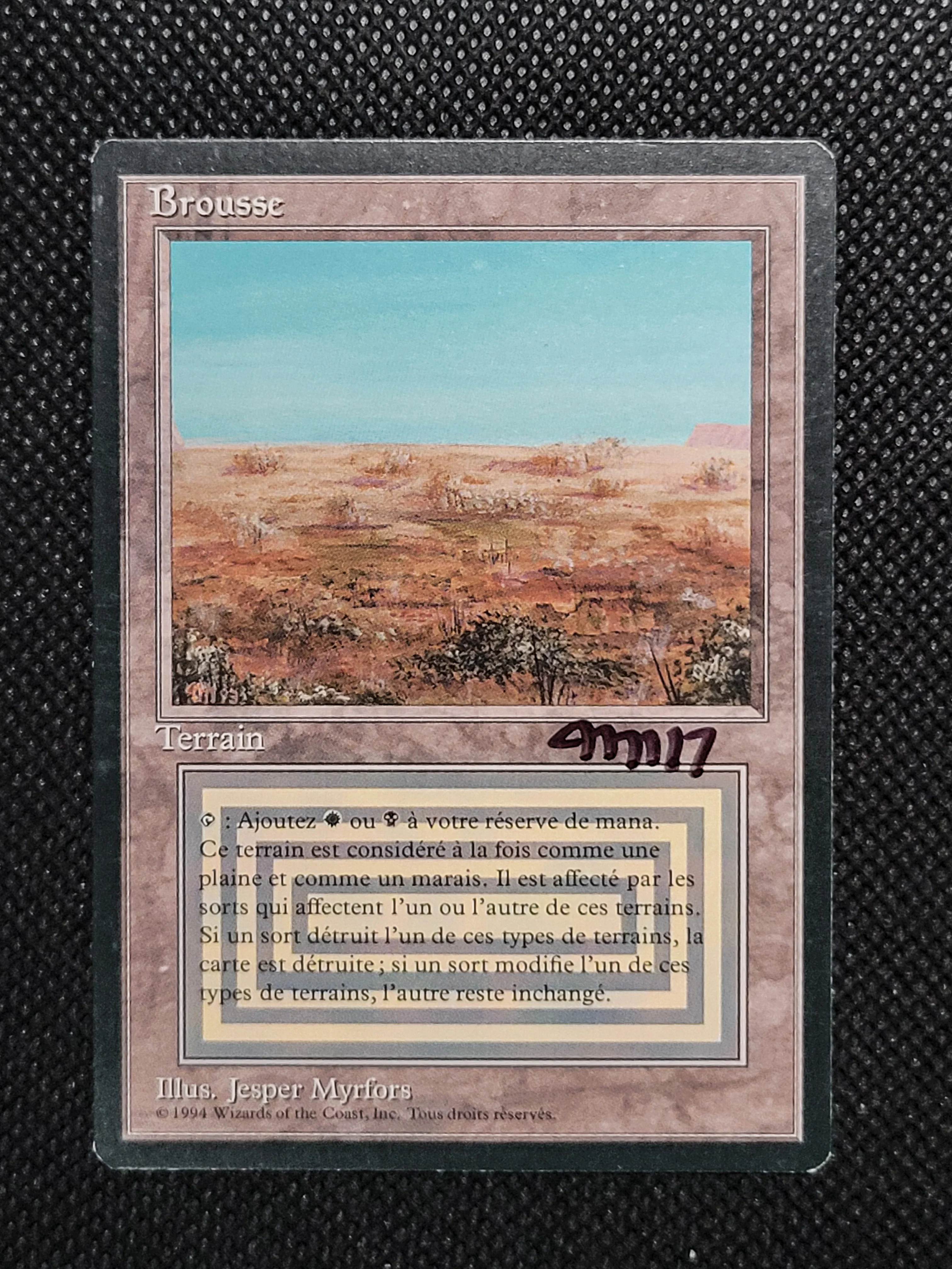 Thumbnail 7